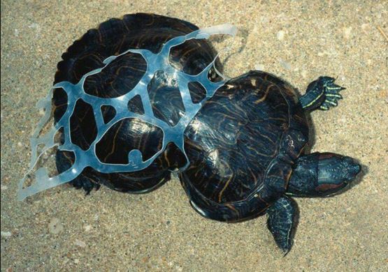 stop using plastic